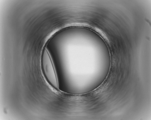 X0000094441237200711081018