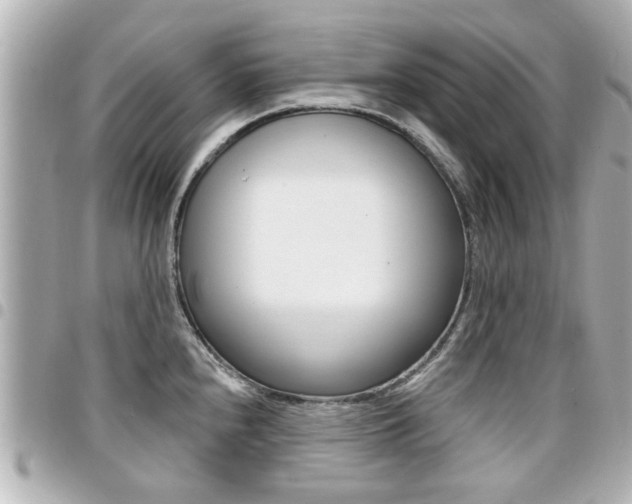 X0000094441240200711081018