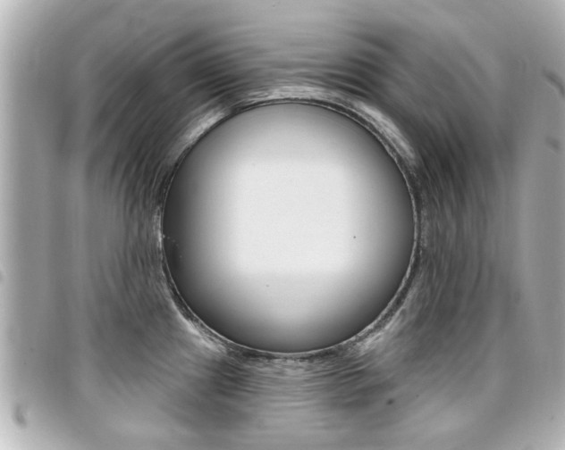 X0000094441241200711081018