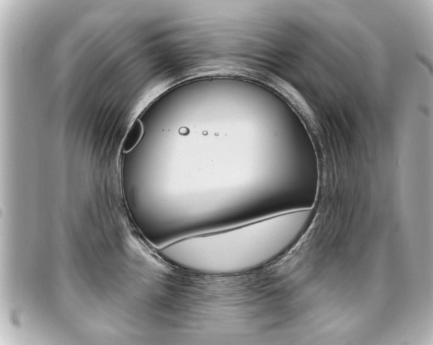 X0000094441242200711081018