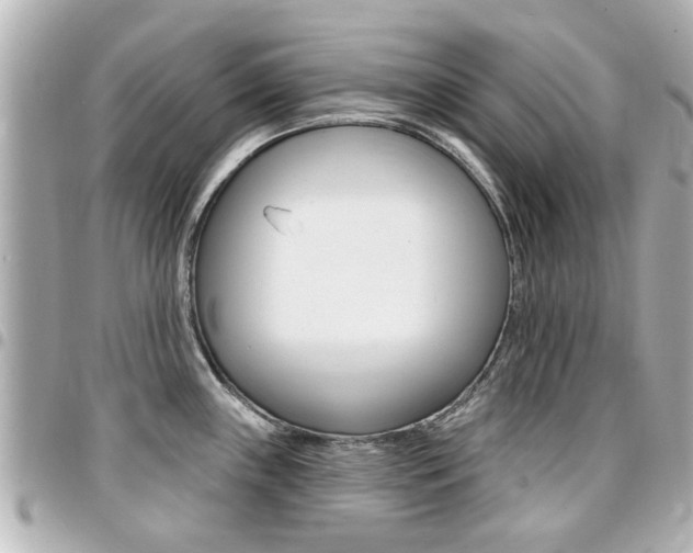 X0000094441243200711081018