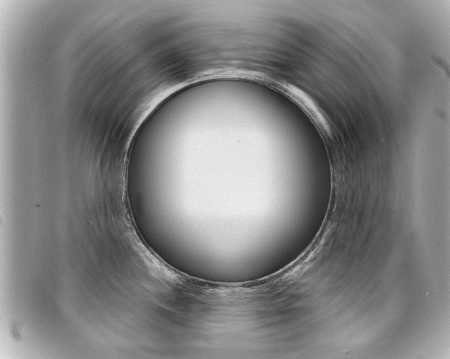 X0000094441244200711081018