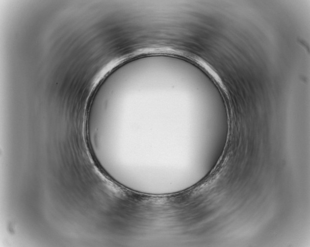 X0000094441245200711081018