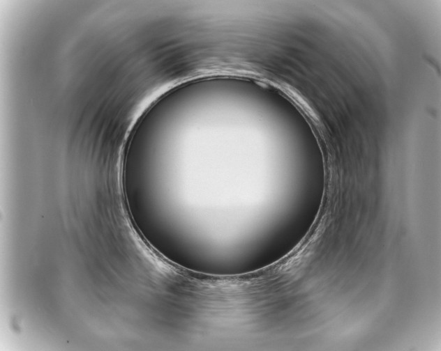 X0000094441246200711081019