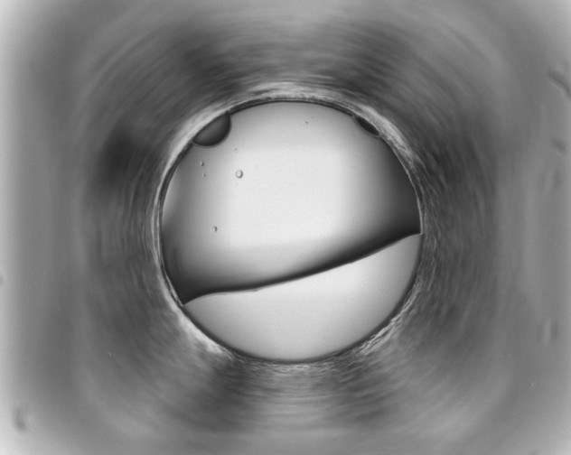 X0000094441247200711081019