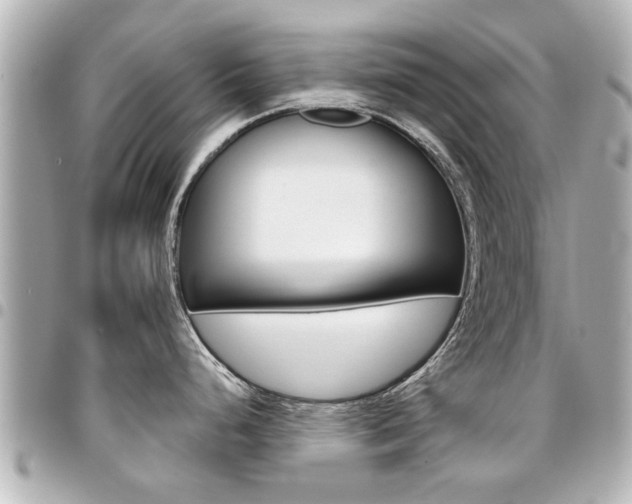 X0000094441248200711081019