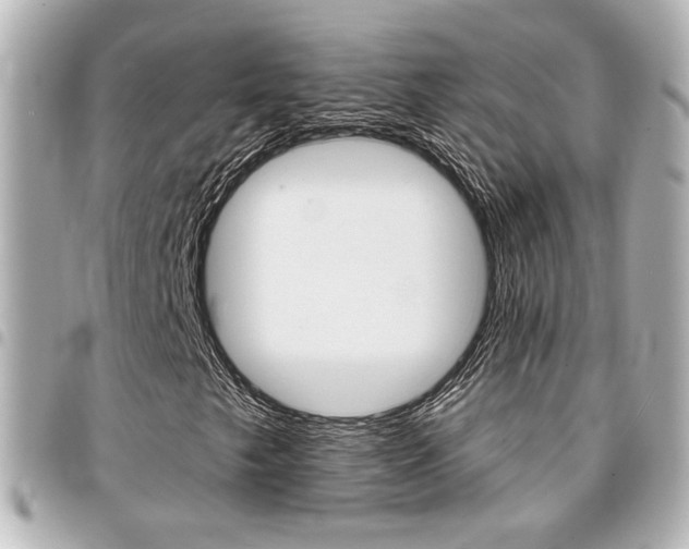 X0000094441249200711081018