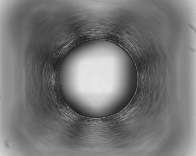 X0000094441250200711081018