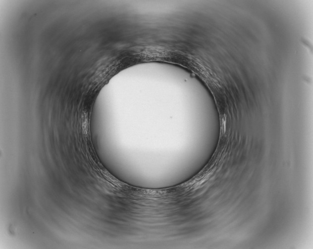 X0000094441251200711081018