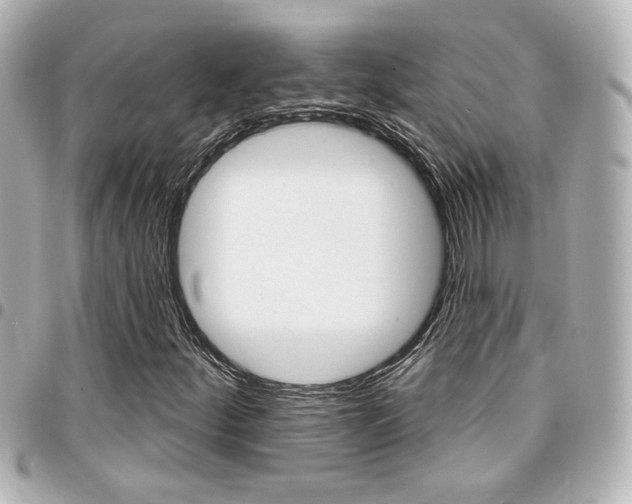 X0000094441252200711081018