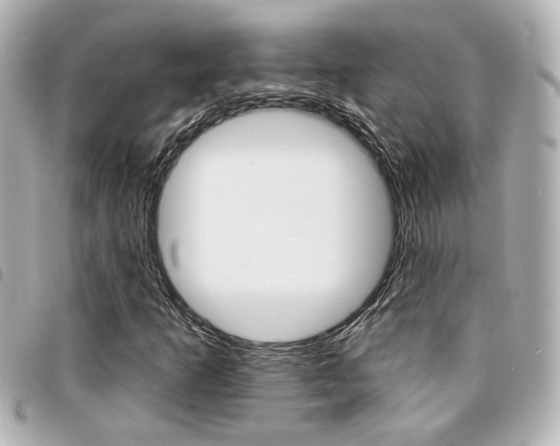 X0000094441253200711081018