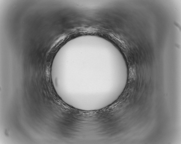 X0000094441254200711081018