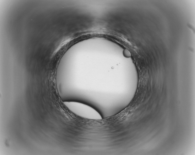 X0000094441255200711081018