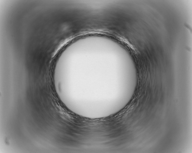 X0000094441256200711081018