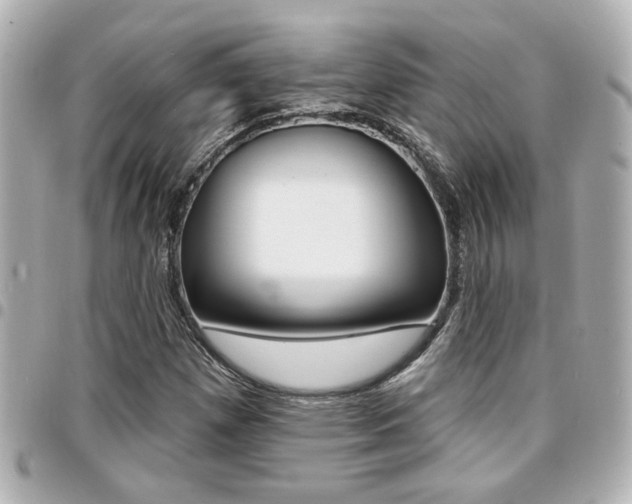 X0000094441257200711081018