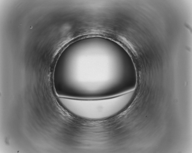 X0000094441260200711081018