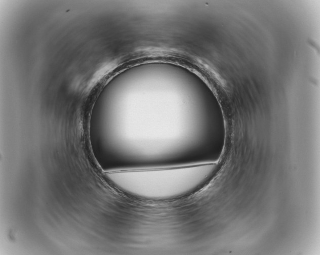 X0000094441261200711081018