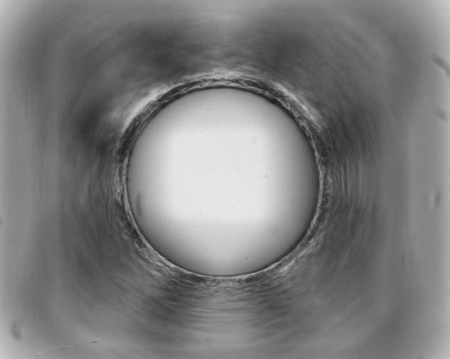 X0000094441262200711081018