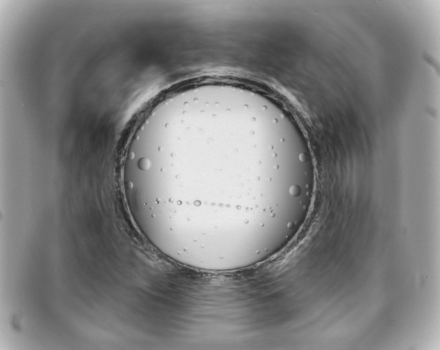 X0000094441263200711081018
