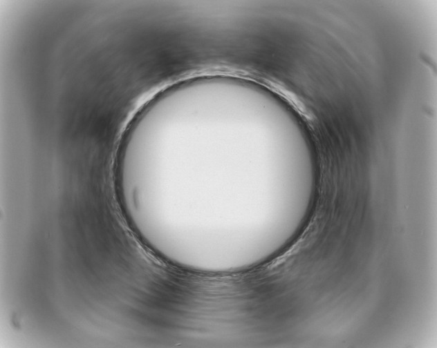 X0000094441264200711081018