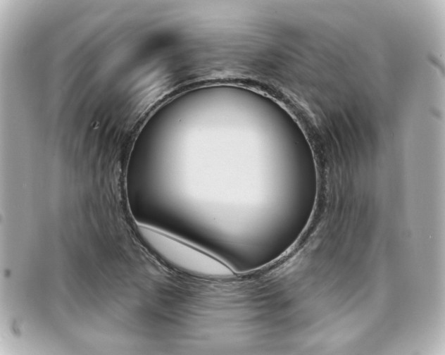 X0000094441265200711081018