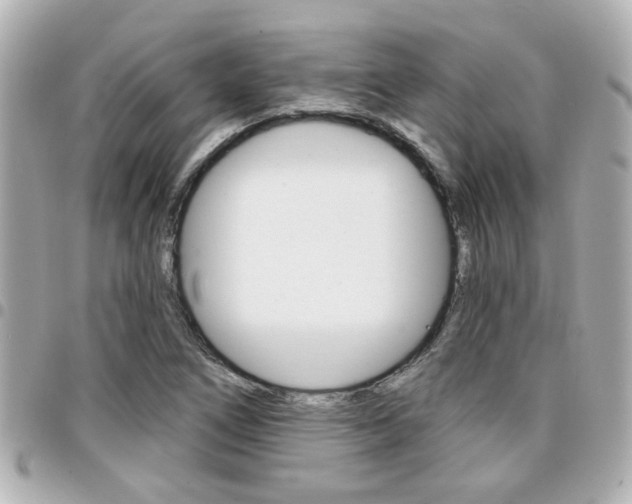 X0000094441266200711081018