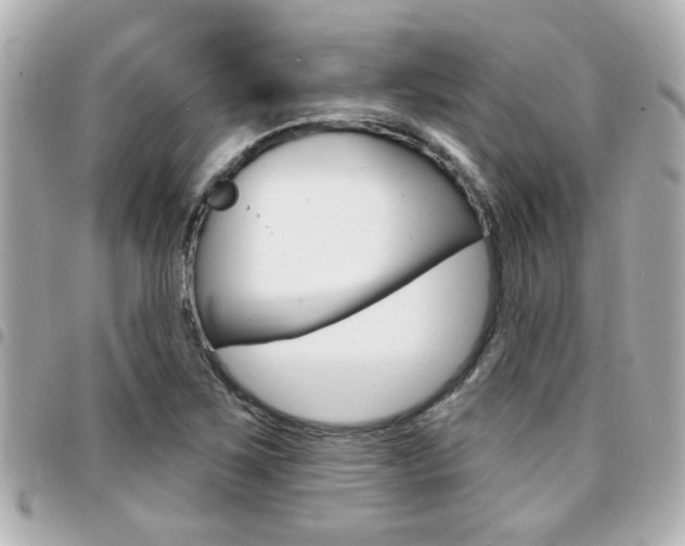 X0000094441267200711081018