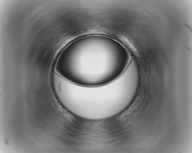 X0000094441268200711081018