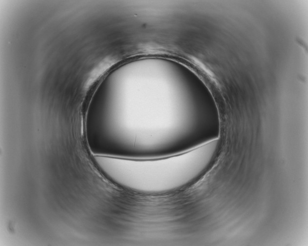 X0000094441269200711081018