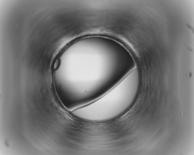 X0000094441270200711081018