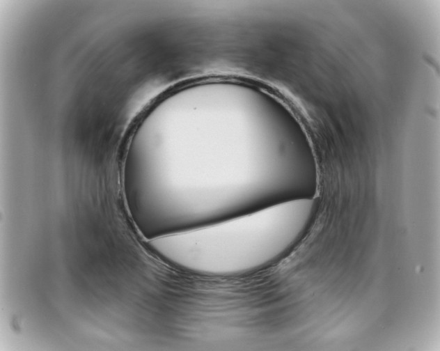 X0000094441271200711081018