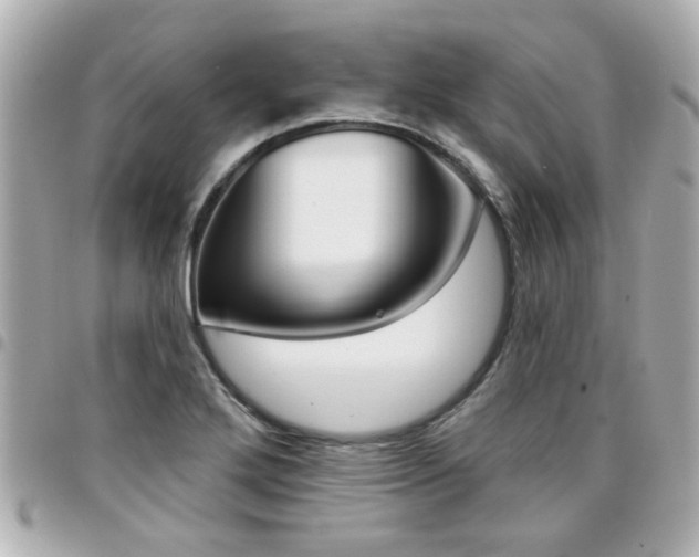 X0000094441272200711081018