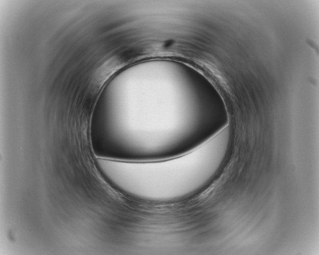 X0000094441273200711081018