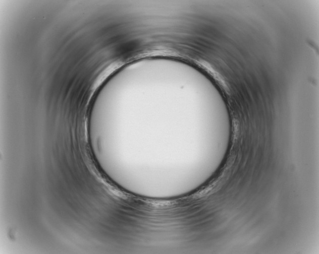 X0000094441274200711081018