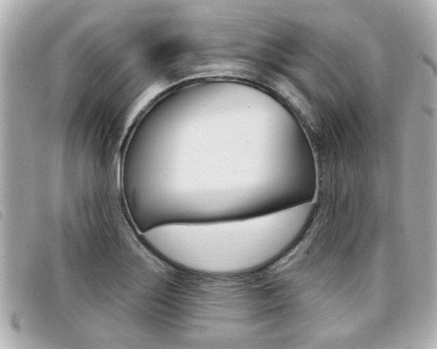 X0000094441275200711081018