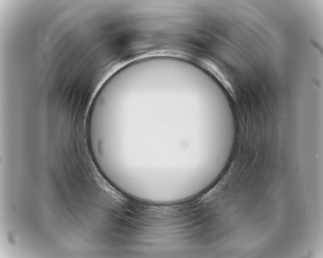 X0000094441276200711081018