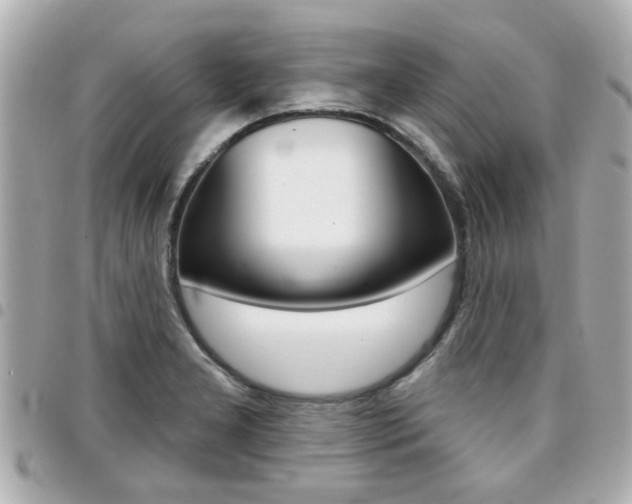 X0000094441277200711081018