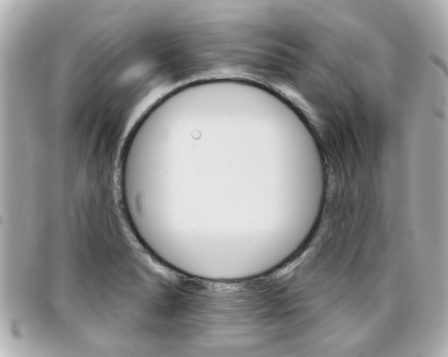 X0000094441278200711081017