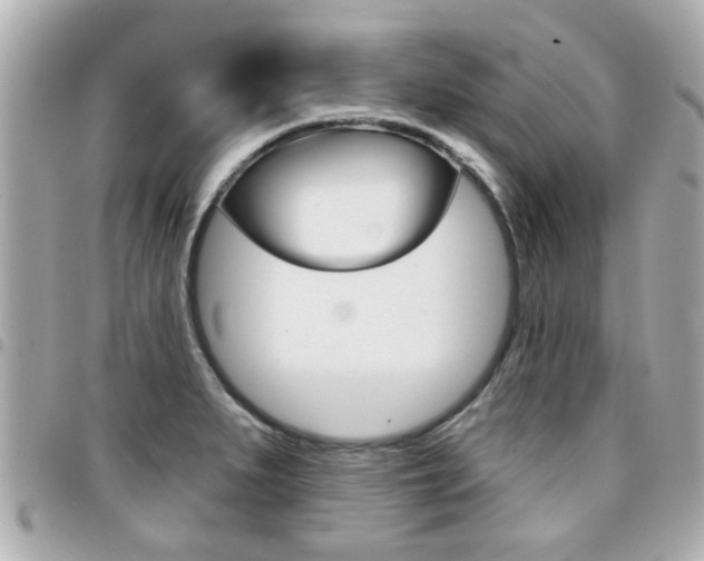 X0000094441279200711081017