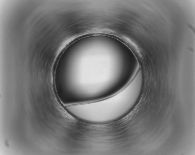X0000094441280200711081017