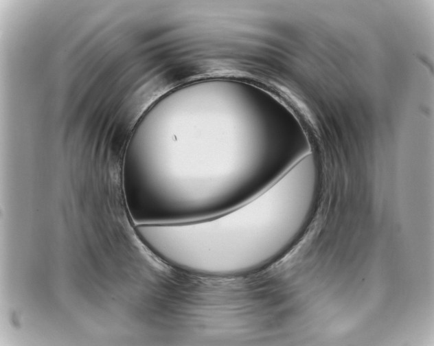 X0000094441281200711081017