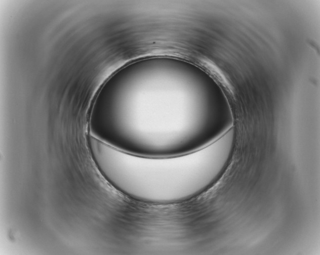 X0000094441284200711081017
