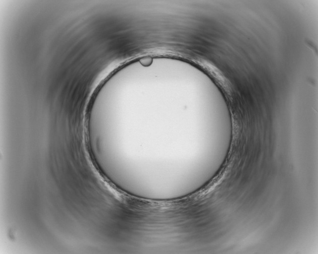 X0000094441286200711081017