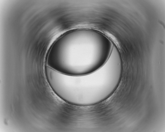 X0000094441288200711081017