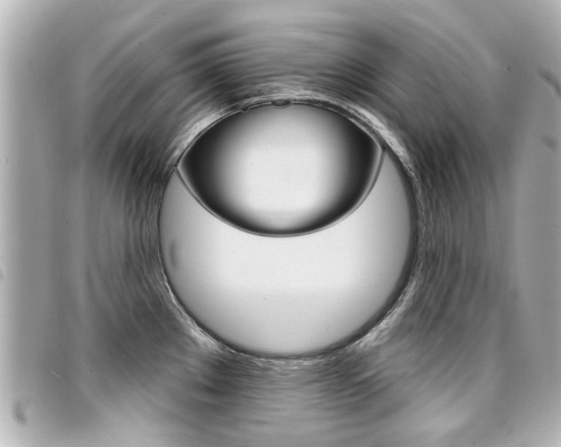 X0000094441289200711081017