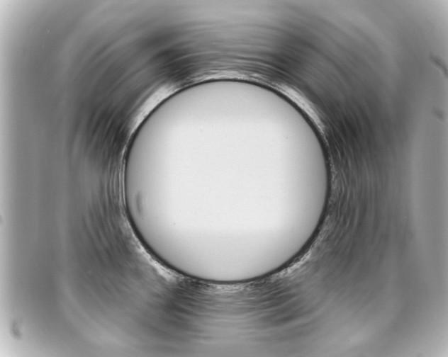 X0000094441290200711081017