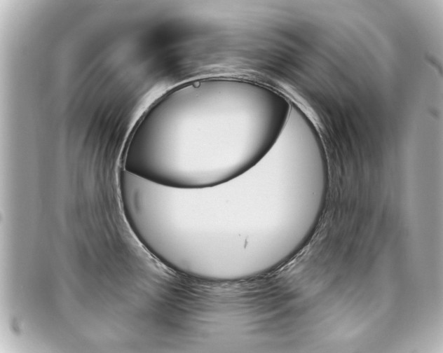 X0000094441291200711081017