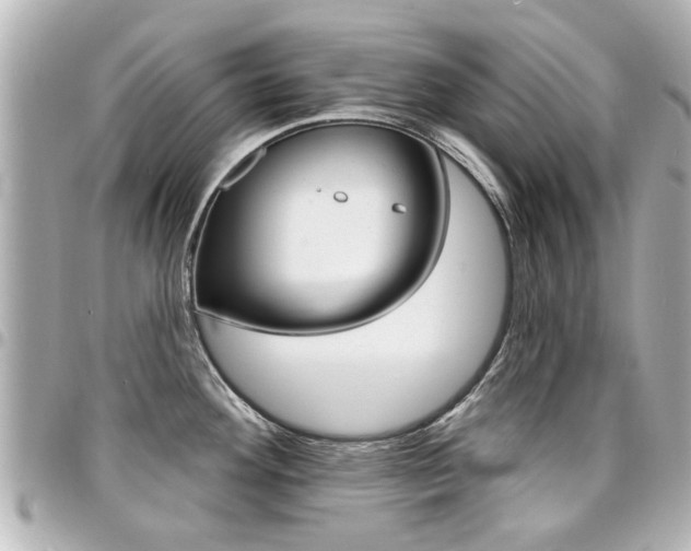 X0000094441292200711081017