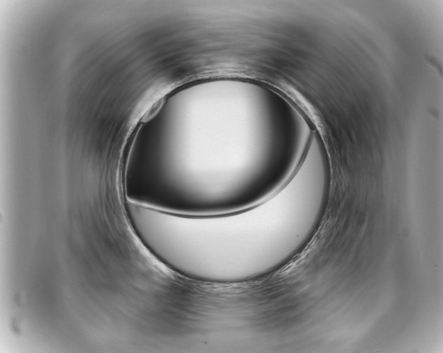 X0000094441293200711081017