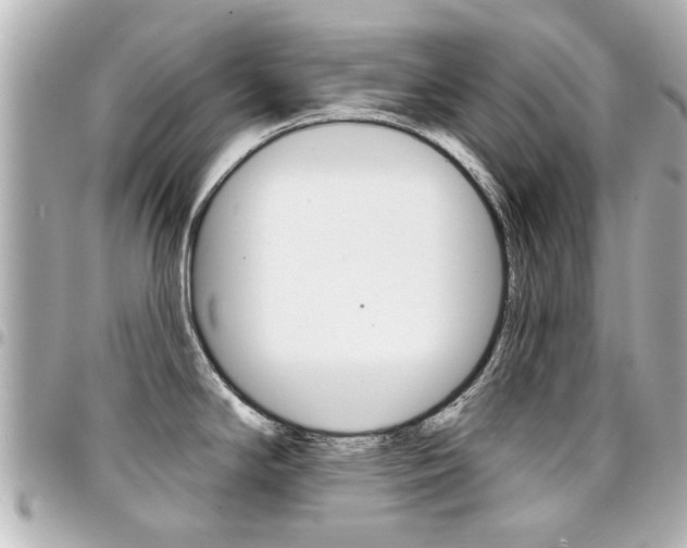 X0000094441294200711081017